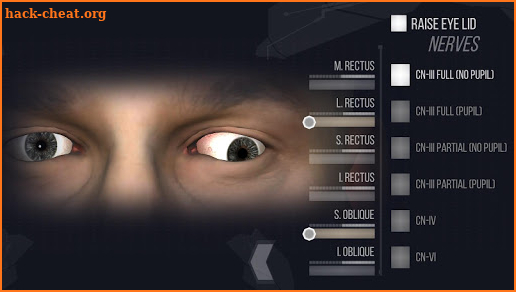 EyeSim screenshot