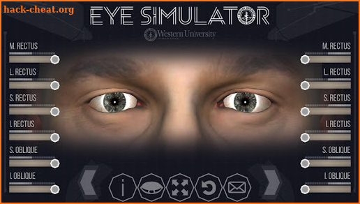 EyeSim screenshot