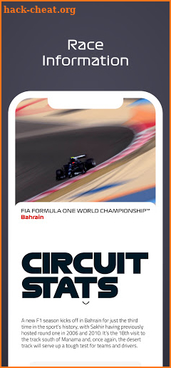 F1® Race Programme screenshot