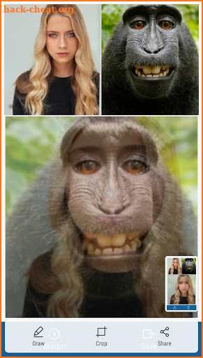 Face Morph App, Photo Morph, Multi face blender screenshot