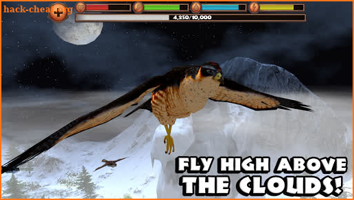 Falcon Simulator screenshot