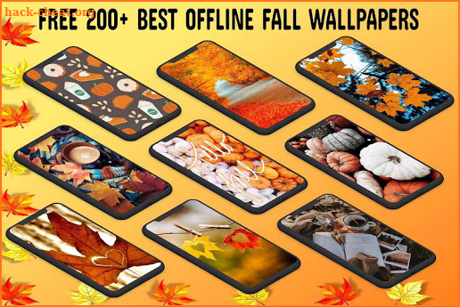 Fall Wallpaper HD screenshot