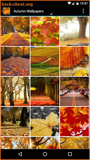 Fall Wallpapers screenshot