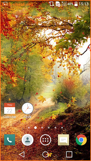 Falling Leaves Live Wallpaper screenshot