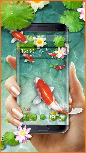 Fancy 3D koi fish theme screenshot