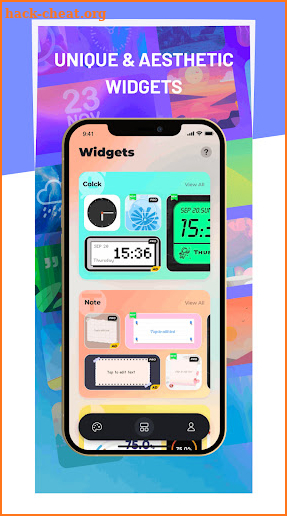 Fancy Widgets And Themes Advice screenshot