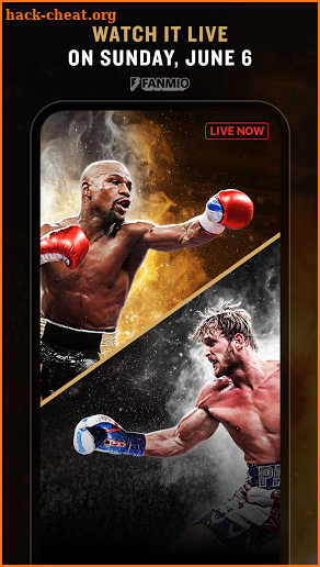 Fanmio Boxing screenshot