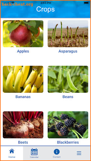 Farming Basics screenshot