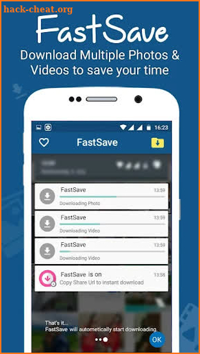 FastSaver screenshot
