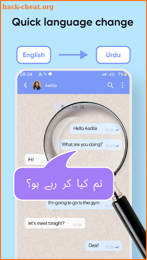 FastTranslate Pro screenshot