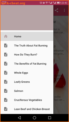 Fat Burning Foods screenshot
