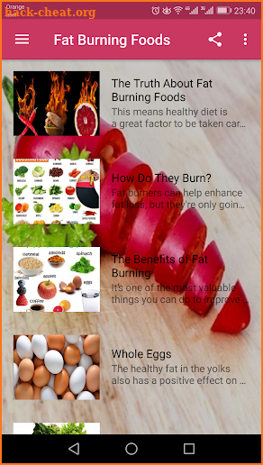 Fat Burning Foods screenshot