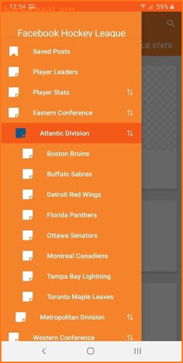 FB Hockey League screenshot