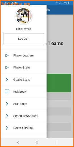 FBHL FB Hockey League screenshot