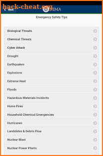 FEMA screenshot