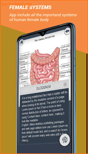 Female Anatomy 3D : Female 3D organs Anatomy screenshot