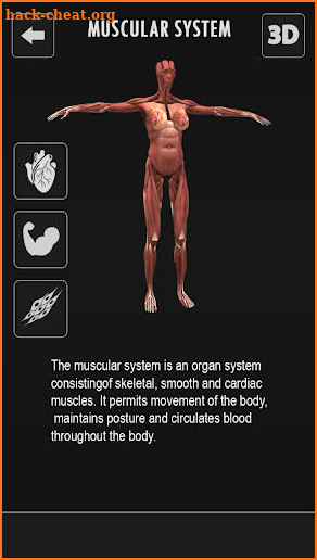 Female Anatomy 3D : Female Body Visualizer screenshot
