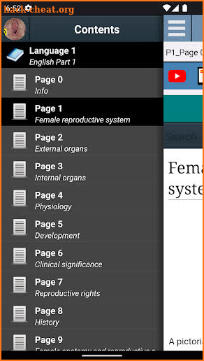 Female reproductive system screenshot