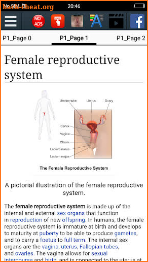 Female reproductive system screenshot
