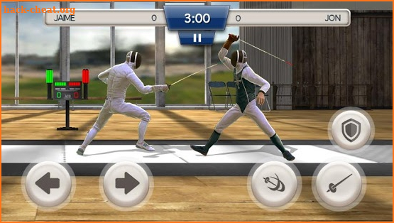 Fencing Swordplay 3D screenshot