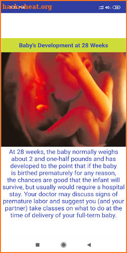 Fetal development stages screenshot