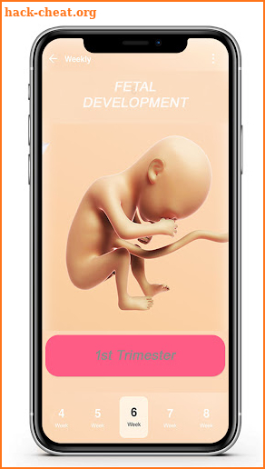 Fetal Development Week By Week screenshot