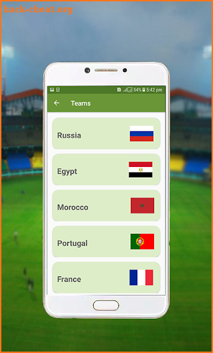 FIFA Live Match screenshot