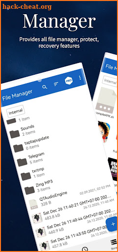 File Manager Pro - Recovery screenshot