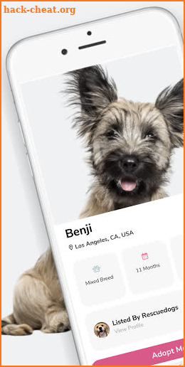 Find Benji-Rehome & Adopt Pets,Find Puppies & More screenshot