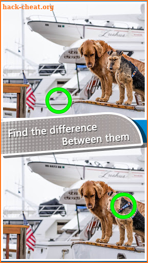 Find the differences - Brain Differences Puzzle 6 screenshot