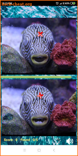 Find the differences: Sea Creatures screenshot