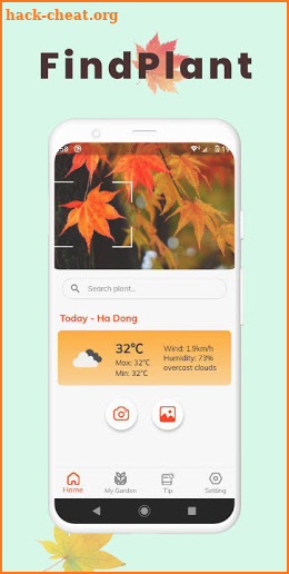 FindPlant - New Plant identification screenshot