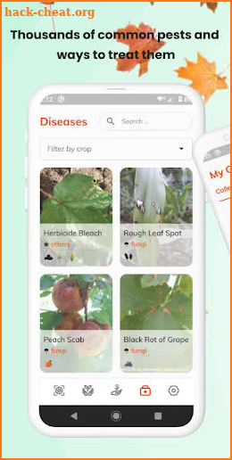 FindPlant - Plant identification screenshot