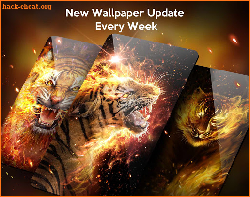 Fire Tiger Live Wallpaper Themes screenshot