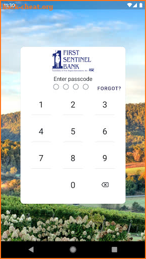 First Sentinel Bank screenshot