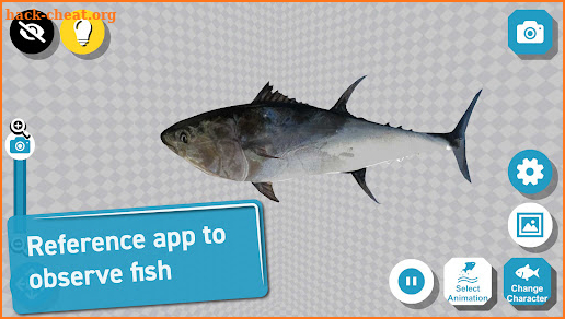 Fish 3D Reference screenshot