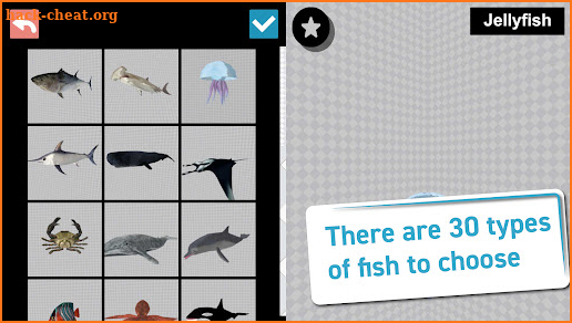Fish 3D Reference screenshot
