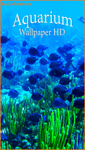 Fish Aquarium Live Wallpapers screenshot