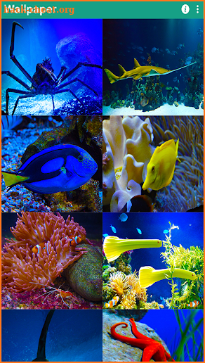Fish Aquarium Live Wallpapers screenshot