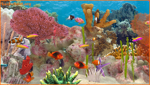 Fish Farm 3 - 3D Aquarium Simulator screenshot