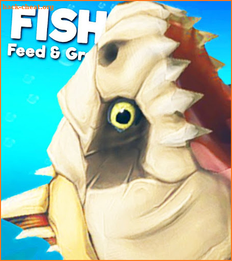 Fish Feed And Grow Fish Advice screenshot