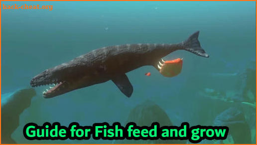 Fish Feed & Grow: real walkthrough 2020 screenshot