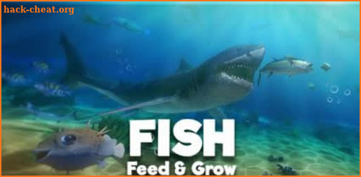 Fish Feed Grow Advice Guide screenshot