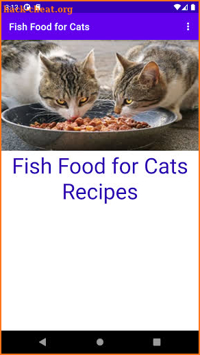 Fish Food for Cats screenshot