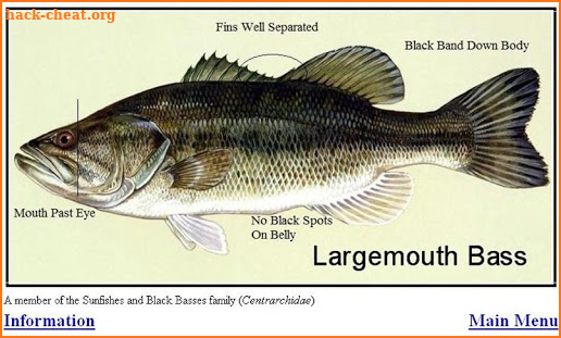 Fish ID Key - U.S. Freshwater screenshot