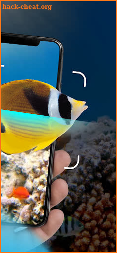 Fish Identification - Fish Id screenshot