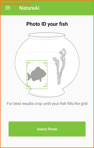 Fish Identifier screenshot