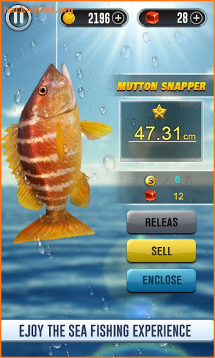 Fish Live Simulator 2019 - Fishing Ace Pro Pro screenshot