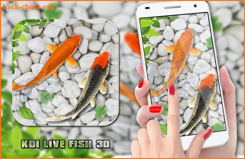 Fish Live Wallpaper 2018: Aquarium Koi Backgrounds screenshot