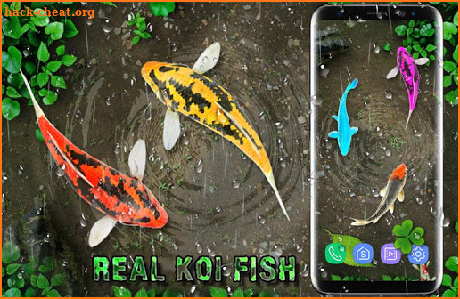 Fish Live Wallpaper Free: Aquarium Background 2018 screenshot
